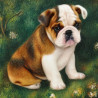 ChampionEnglish BulldogPuppies.com logo